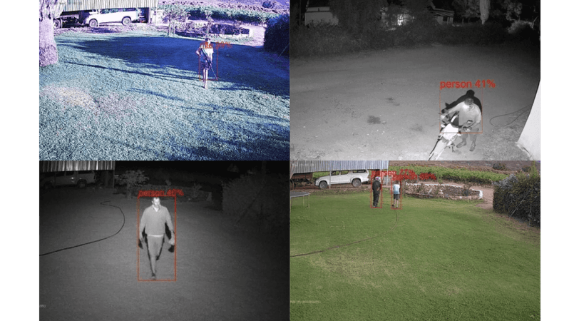 Scylla's cameras monitoring view