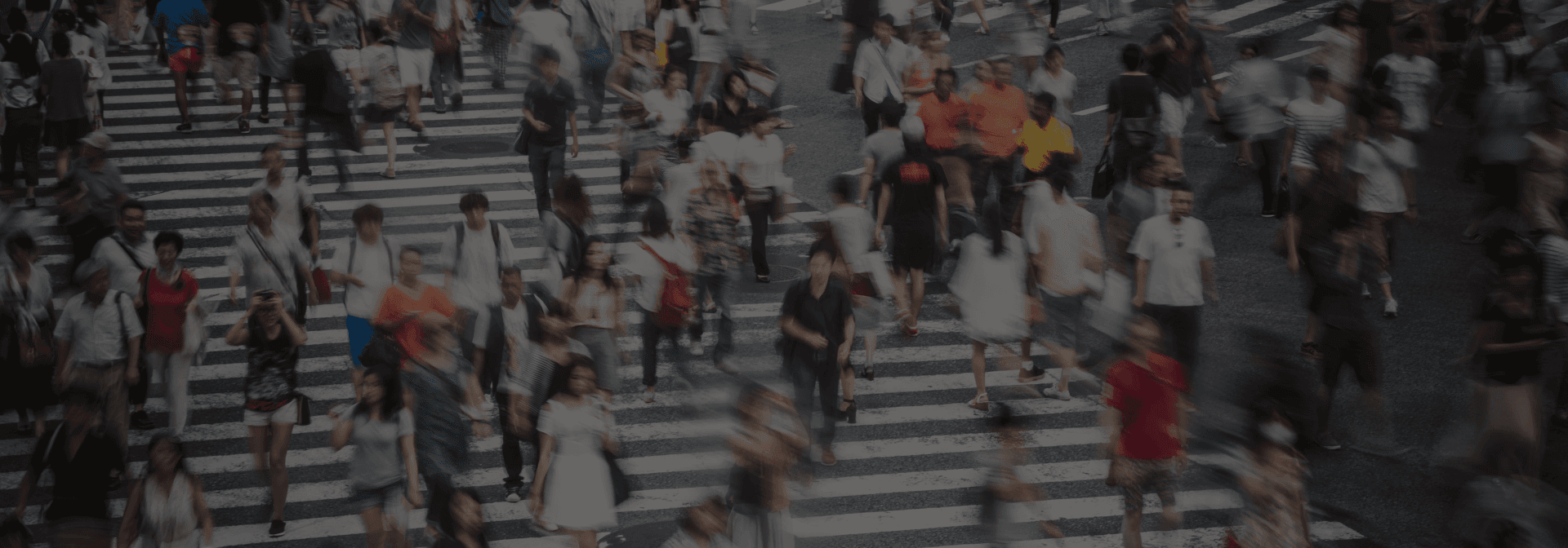 Building an Identity-Aware Multi-Object Tracking System