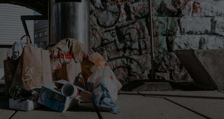 How AI Helps Prevent Littering
and Improve Waste Management