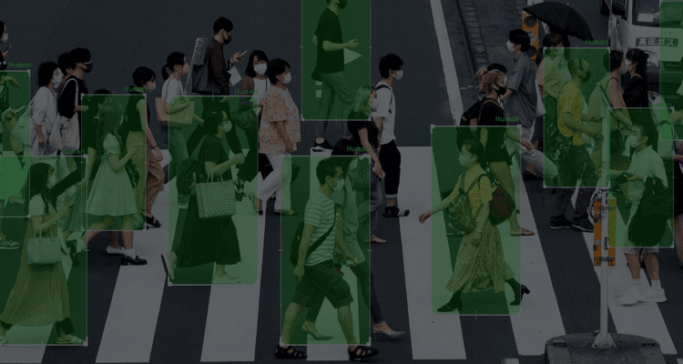 ScyllaNet vs. YOLOv8: Evaluating Performance and Capabilities