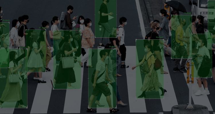 ScyllaNet vs. YOLOv8: Evaluating Performance and Capabilities