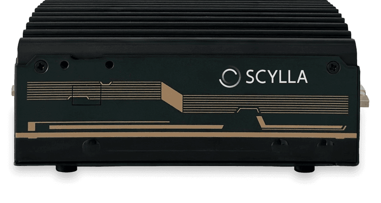 Scylla asteria