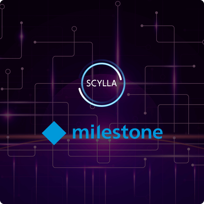 Scylla x Milestone