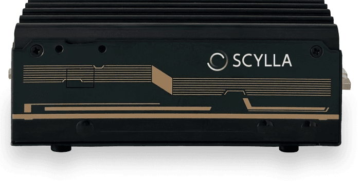Scylla asteria